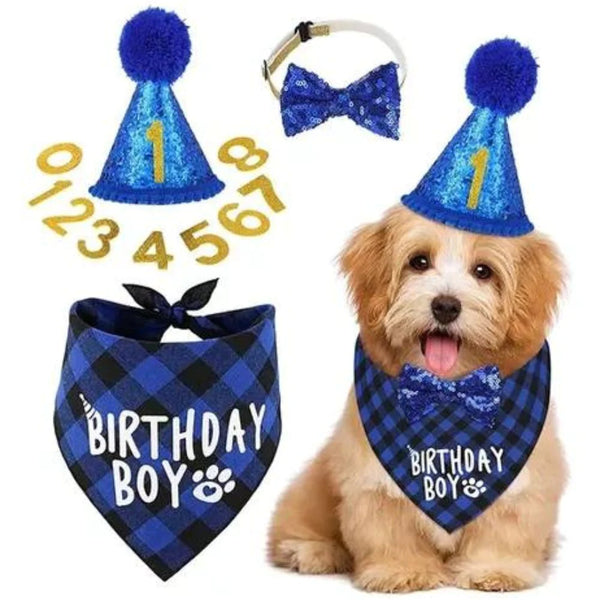 Kit Cumpleaños Perro <br> Azul Macho