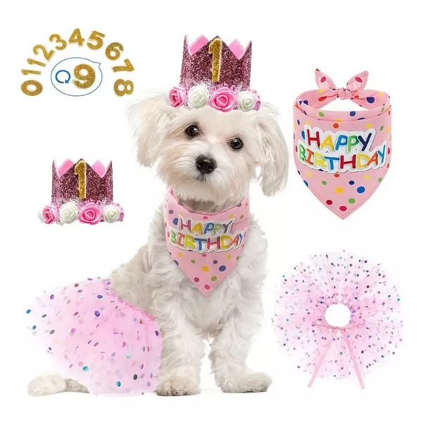 Kit Cumpleaños Perro <br> Rosa Corona Hembra