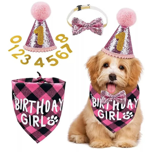 Kit Cumpleaños Perro <br> Rosa Hembra