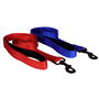 Correa para perro <br> 1,2 mts Colores