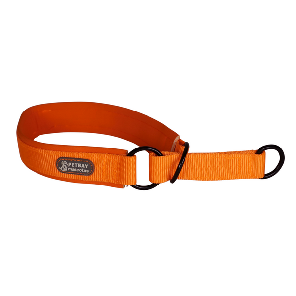 Collar para Perro <br> Martingale Colores Varios