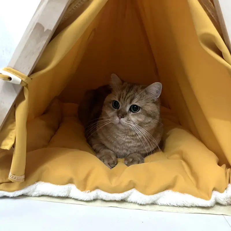 Carpa para Mascota <br> Perro/Gato Verde